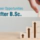 Career Opportunities After B Sc