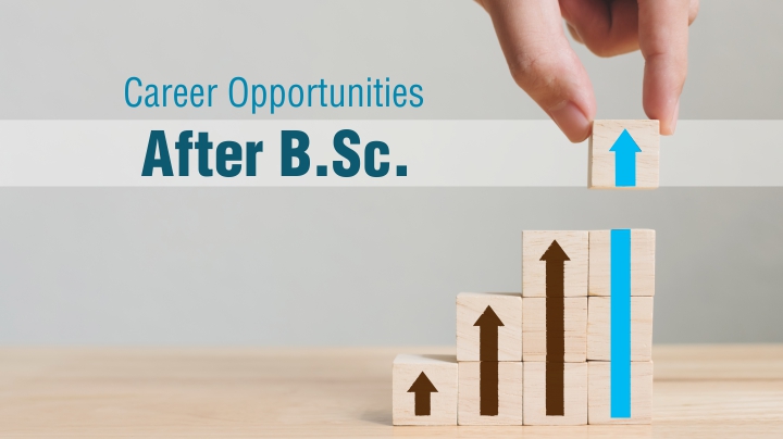 Career Opportunities After B Sc